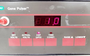 Thumbnail image of Bio-rad Gene Pulser Capacitance Extender Pulse Controller Electroporation System