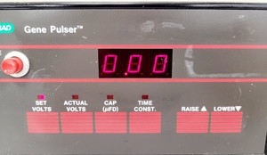 Thumbnail image of Bio-rad Gene Pulser Capacitance Extender Pulse Controller Electroporation System