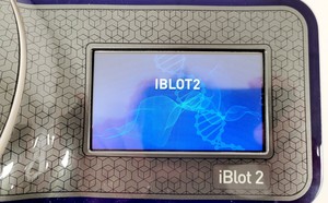 Thumbnail image of Life Technologies iBlot 2 Gel Transfer Device Dry Blotting System Lab