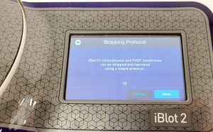 Thumbnail image of Life Technologies iBlot 2 Gel Transfer Device Dry Blotting System Lab