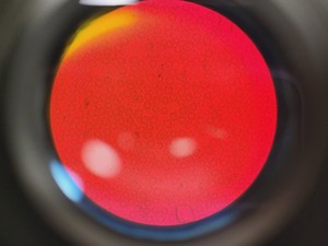 Thumbnail image of Carl Zeiss Axioscop Microscope 