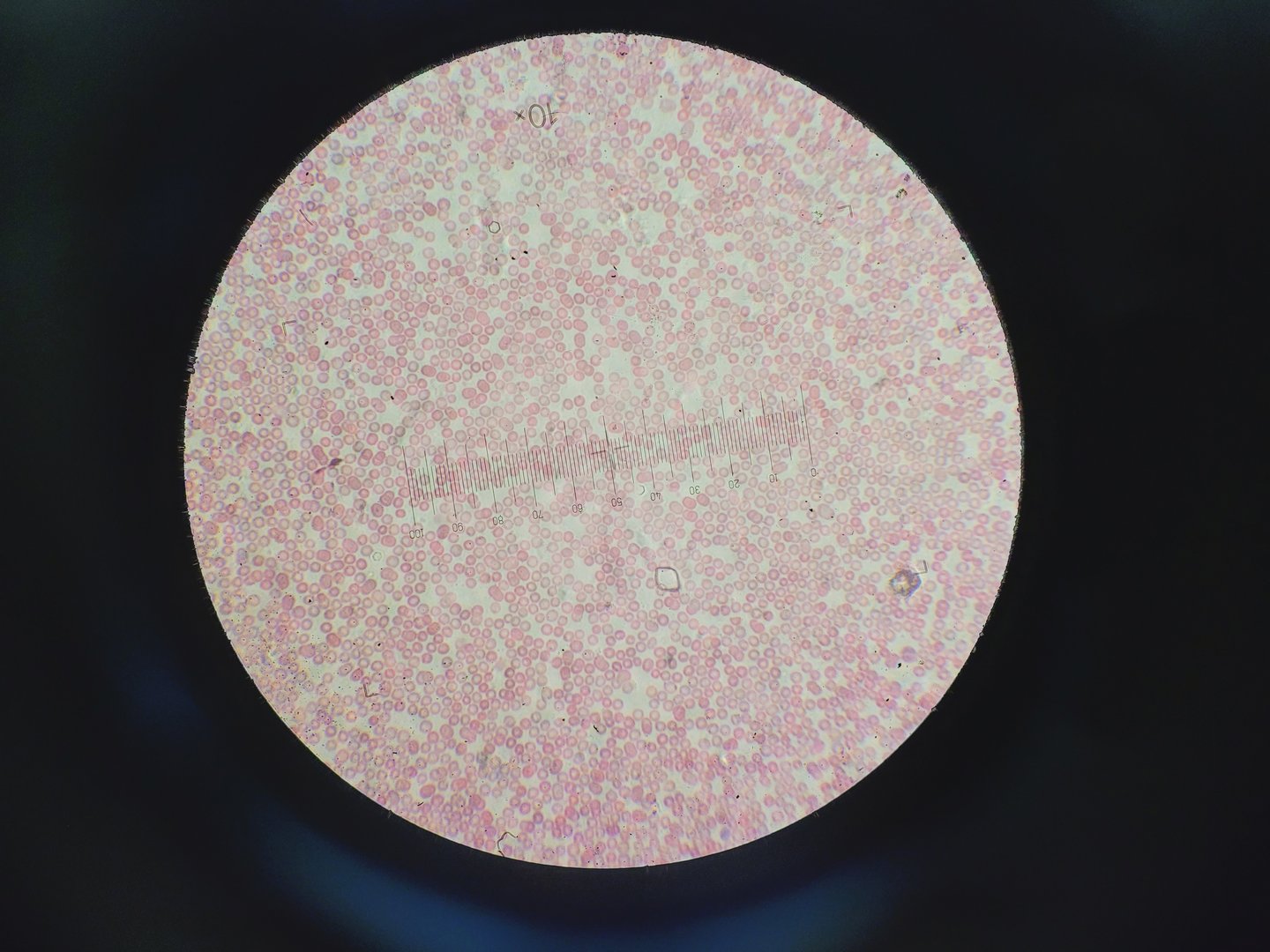 Image of Carl Zeiss Axioskop Microscope w/ 5 x Objectives,Eyepieces, Power Supply Lab