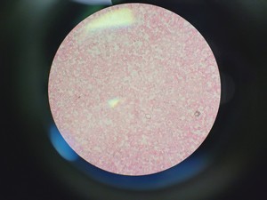 Thumbnail image of Carl Zeiss Axioskop Microscope w/ 5 x Objectives,Eyepieces, Power Supply Lab