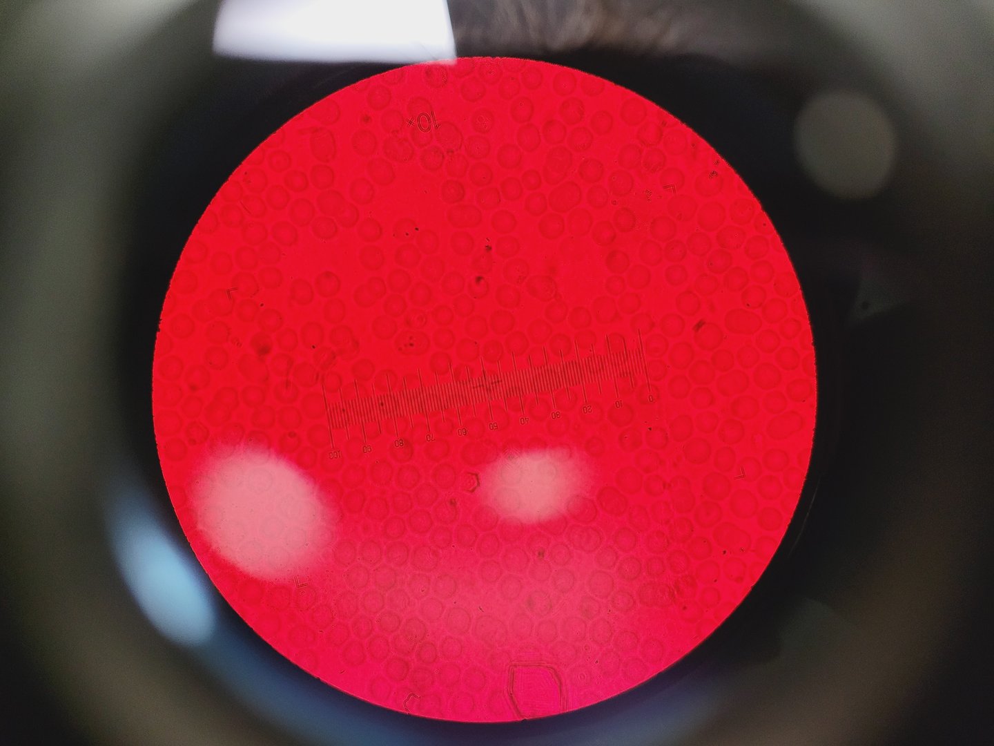 Image of Carl Zeiss Axioskop Microscope w/ 5 x Objectives,Eyepieces, Power Supply Lab