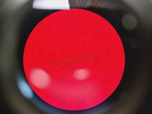 Thumbnail image of Carl Zeiss Axioskop Microscope w/ 5 x Objectives,Eyepieces, Power Supply Lab