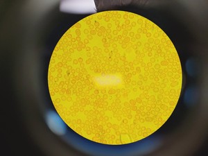 Thumbnail image of Carl Zeiss Axioskop Microscope w/ 5 x Objectives,Eyepieces, Power Supply Lab