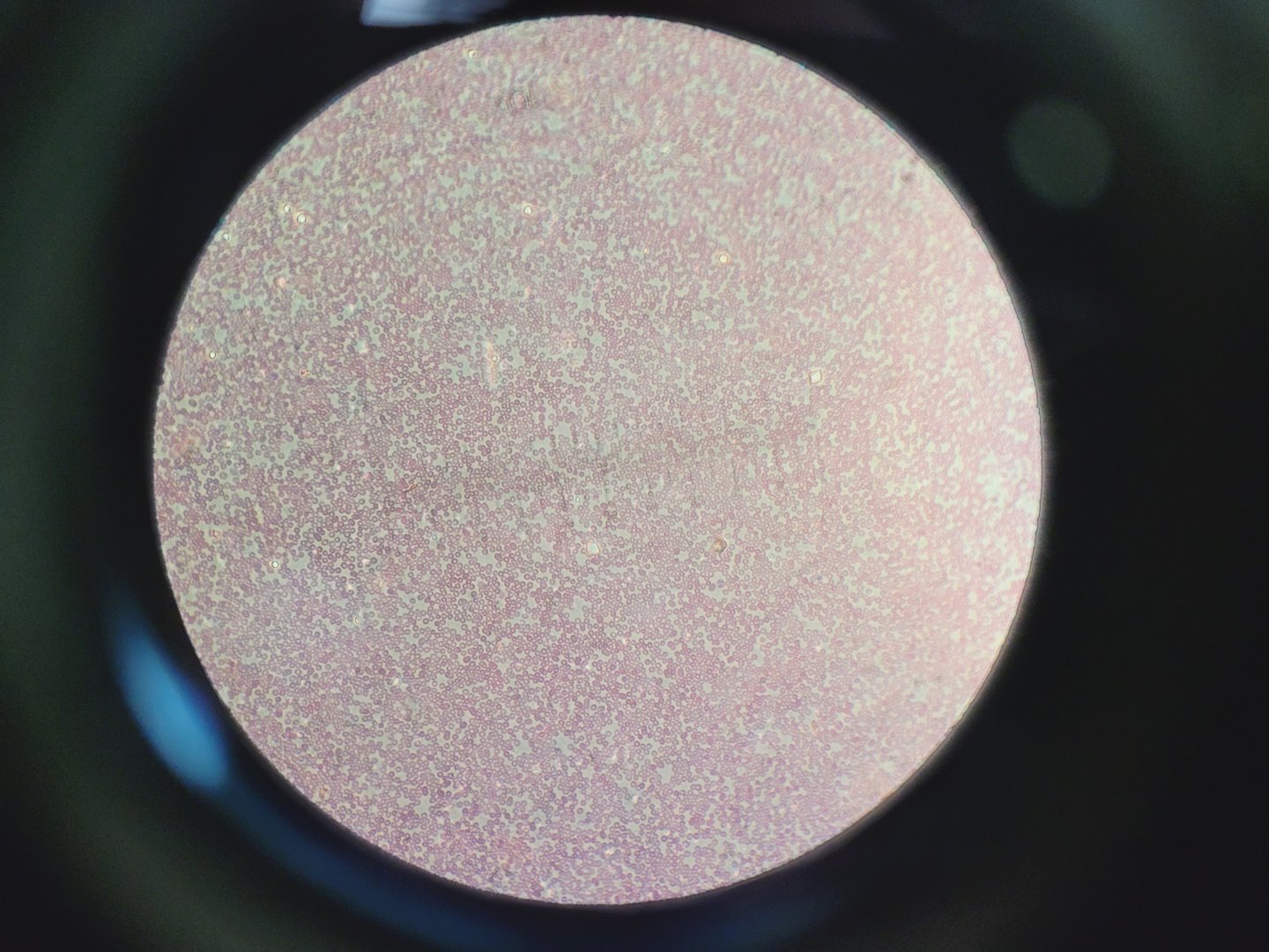 Image of Carl Zeiss Axioskop Microscope w/ 5 x Objectives,Eyepieces, Power Supply Lab