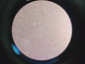 Thumbnail image of Carl Zeiss Axioscop Microscope 