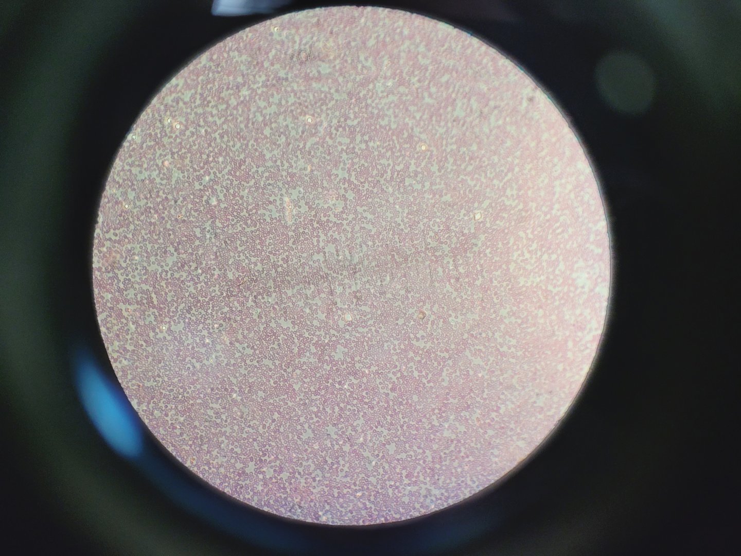 Image of Carl Zeiss Axioskop Microscope w/ 5 x Objectives,Eyepieces, Power Supply Lab