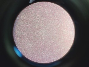 Thumbnail image of Carl Zeiss Axioscop Microscope 