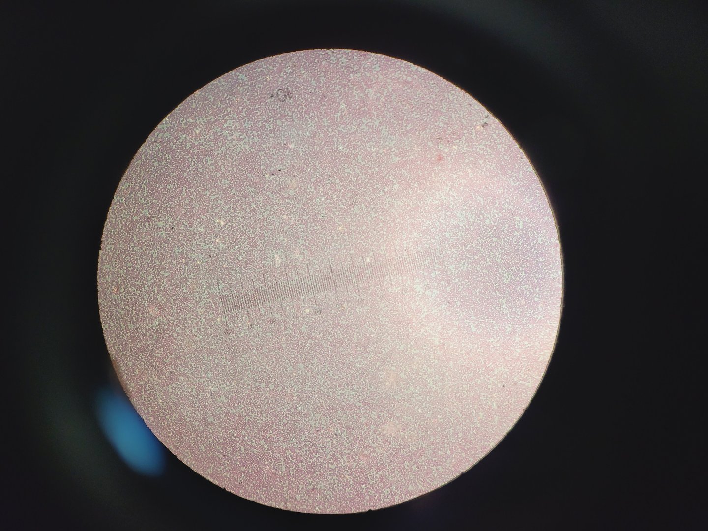Image of Carl Zeiss Axioskop Microscope w/ 5 x Objectives,Eyepieces, Power Supply Lab