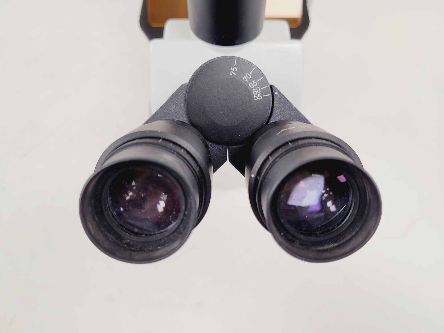 Image of Motic AE31 Series Inverted Microscope & MHG-100B Lamp Power Supply Lab