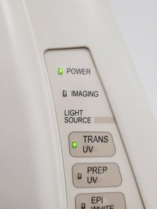 Thumbnail image of Bio-Rad Molecular Imaging Gel Doc XR+ Universal Hood II System Lab
