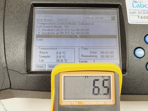 Thumbnail image of MJ Research DNA Engine Tetrad 2 PTC Peltier Thermal Cycler Lab