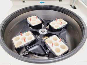 Thumbnail image of Heraeus Sepatech Omnifuge 2.0RS Laboratory Centrifuge Lab