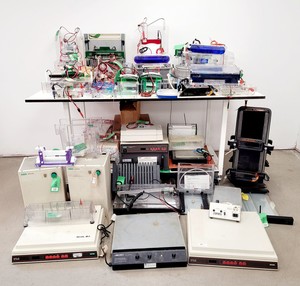 Thumbnail image of Job Lot of Electrophoresis Tanks & Gel Dryers - Bio-Rad, Hoefer, Amersham Lab