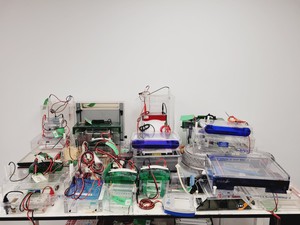 Thumbnail image of Job Lot of Electrophoresis Tanks & Gel Dryers - Bio-Rad, Hoefer, Amersham Lab