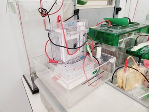 Thumbnail image of Job Lot of Electrophoresis Tanks & Gel Dryers - Bio-Rad, Hoefer, Amersham Lab