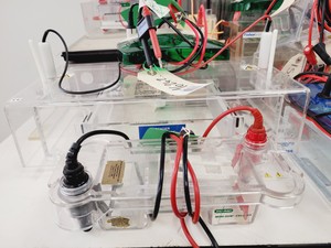 Thumbnail image of Job Lot of Electrophoresis Tanks & Gel Dryers - Bio-Rad, Hoefer, Amersham Lab