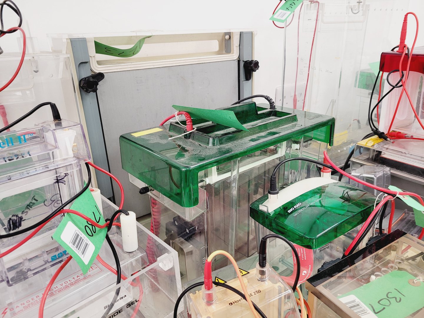 Image of Job Lot of Electrophoresis Tanks & Gel Dryers - Bio-Rad, Hoefer, Amersham Lab