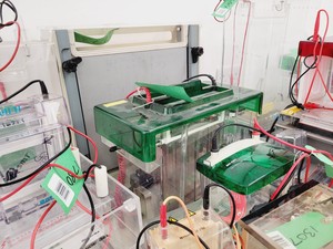 Thumbnail image of Job Lot of Electrophoresis Tanks & Gel Dryers - Bio-Rad, Hoefer, Amersham Lab