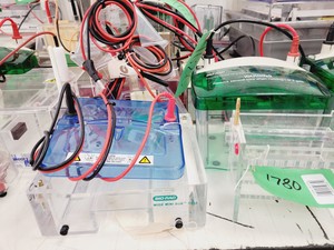 Thumbnail image of Job Lot of Electrophoresis Tanks & Gel Dryers - Bio-Rad, Hoefer, Amersham Lab