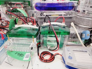 Thumbnail image of Job Lot of Electrophoresis Tanks & Gel Dryers - Bio-Rad, Hoefer, Amersham Lab
