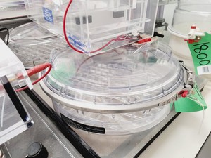 Thumbnail image of Job Lot of Electrophoresis Tanks & Gel Dryers - Bio-Rad, Hoefer, Amersham Lab