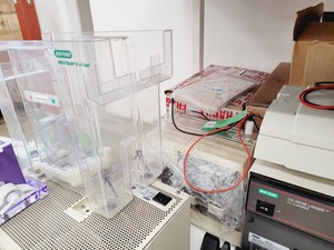 Thumbnail image of Job Lot of Electrophoresis Tanks & Gel Dryers - Bio-Rad, Hoefer, Amersham Lab