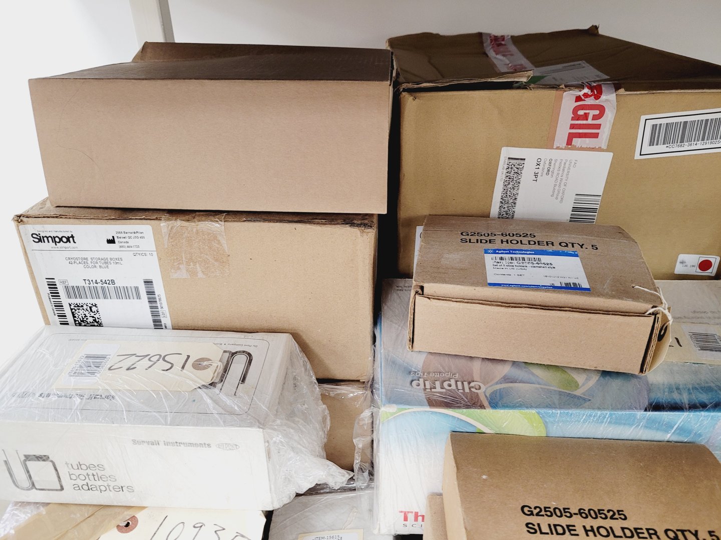 Image of Job Lot of Laboratory Plastic Consumables, Tubes, Tips, Plates, Stands, Filters 