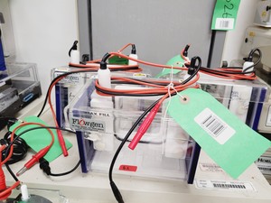 Thumbnail image of Job Lot of Electrophoresis Tanks & Gel Dryers - Bio-Rad, Pharmacial, Flowgen Lab