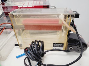 Thumbnail image of Job Lot of Electrophoresis Tanks & Gel Dryers - Bio-Rad, Pharmacial, Flowgen Lab