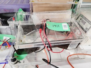 Thumbnail image of Job Lot of Electrophoresis Tanks & Gel Dryers - Bio-Rad, Pharmacial, Flowgen Lab