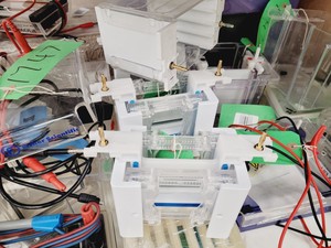 Thumbnail image of Job Lot of Electrophoresis Tanks & Gel Dryers - Bio-Rad, Pharmacial, Flowgen Lab