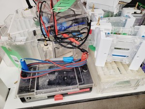 Thumbnail image of Job Lot of Electrophoresis Tanks & Gel Dryers - Bio-Rad, Pharmacial, Flowgen Lab