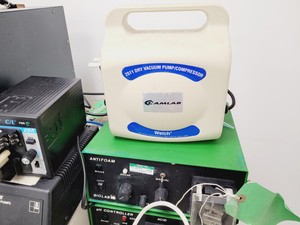 Thumbnail image of Job Lot of Laboratory Pumps - Air, Liquid, Medical etc. - Edwards, Gast, Welch 