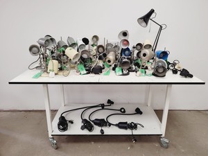 Thumbnail image of Job Lot of Anglepoise Style Desk Lamps