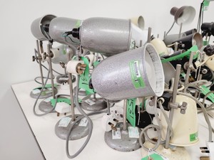 Thumbnail image of Job Lot of Anglepoise Style Desk Lamps