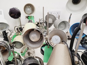 Thumbnail image of Job Lot of Anglepoise Style Desk Lamps