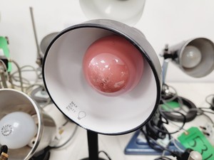 Thumbnail image of Job Lot of Anglepoise Style Desk Lamps