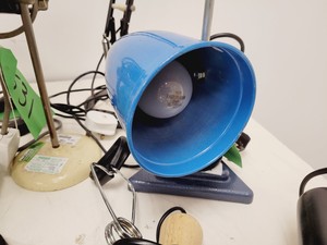 Thumbnail image of Job Lot of Anglepoise Style Desk Lamps