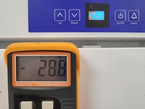 Thumbnail image of Liebherr GG 5210 Laboratory Freezer Lab
