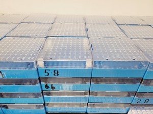 Thumbnail image of Large Job Lot of Plastic Laboratory Cryogenic Storage Boxes Nalgene Simport