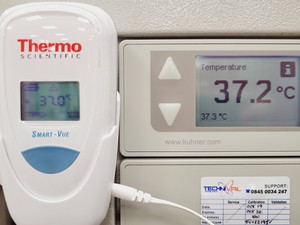 Thumbnail image of Kuhner Shaker X Climo-Shaker ISF1-X Incubator Shaker