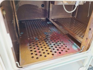 Thumbnail image of Heraeus CO2 Incubator Type BB 6220 CUO2 Lab