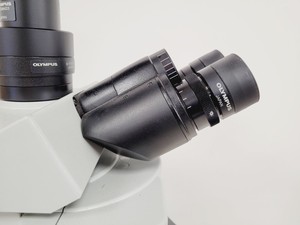 Thumbnail image of Olympus BX61 BX61TRF Microscope System,  UPlanFL N 20x/0.50 ∞/0.17/FN26.5 Lab