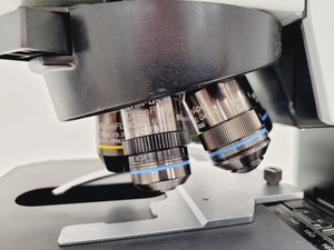 Thumbnail image of Olympus BX61 BX61TRF Microscope System,  UPlanFL N 20x/0.50 ∞/0.17/FN26.5 Lab