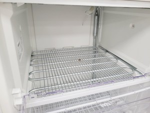 Thumbnail image of Beko Laboratory Freezer  TZS 490 Lab