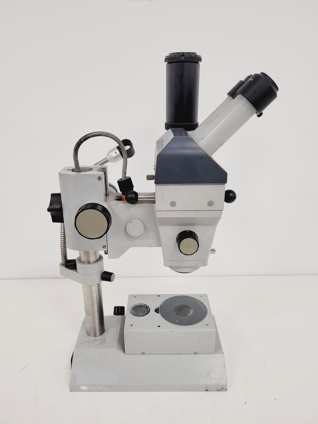 Image of Zeiss StemiSR Stereo Microscope Lab