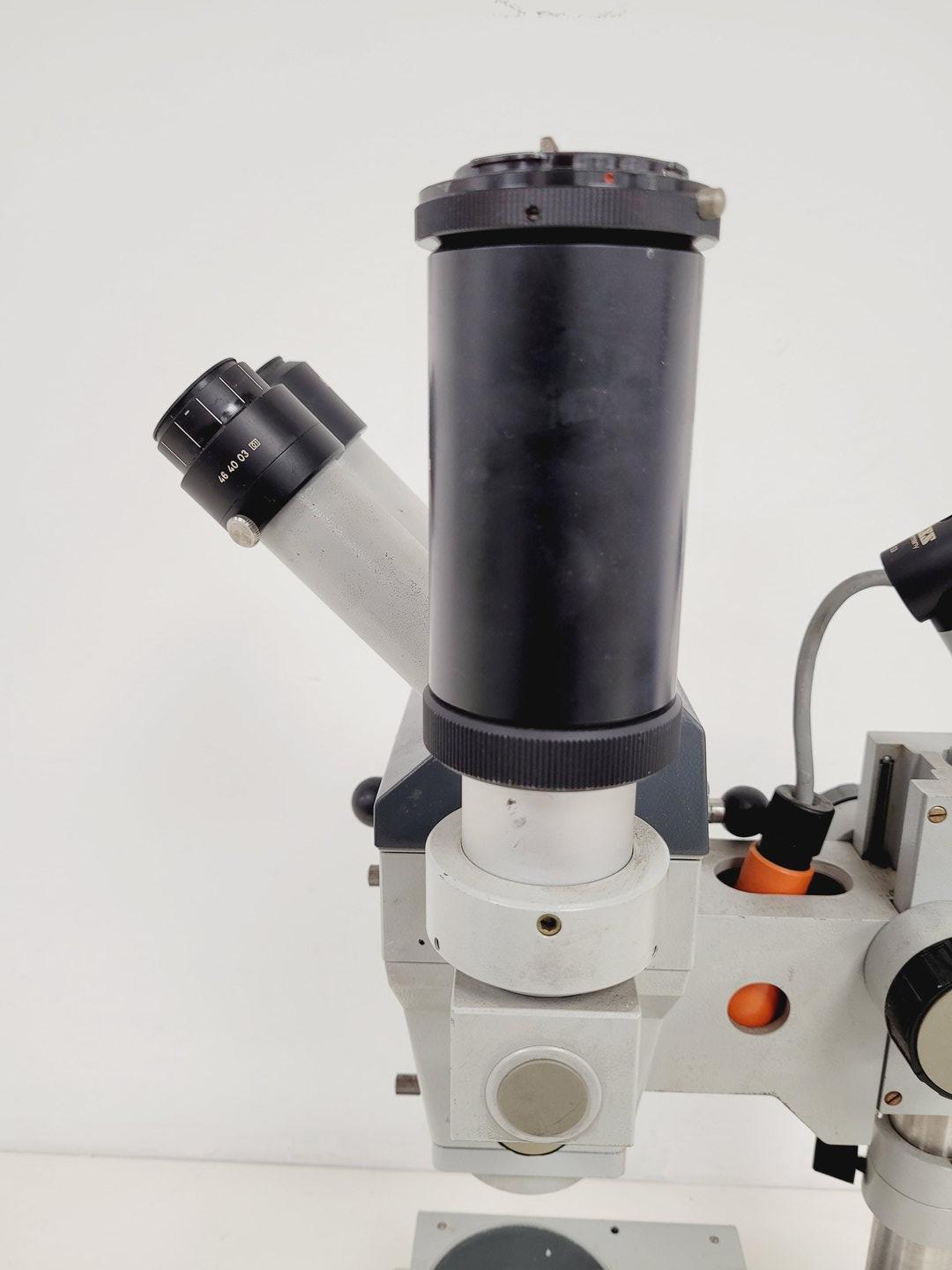 Image of Zeiss StemiSR Stereo Microscope Lab